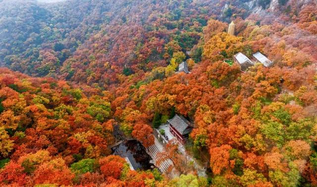 盘山红叶宛如蓟州秋季递出的一张熠熠生辉的旅游名片