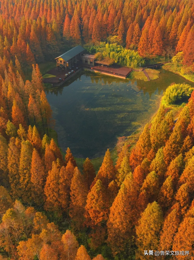 盐城秋日封神攻略：解锁东方湿地的诗意与壮阔