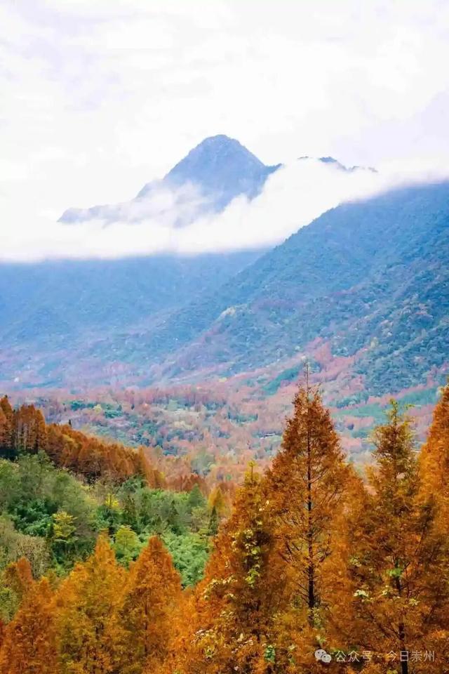 漫山彩林，琉璃坝的色彩美学