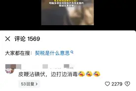 年度酷评系列之皮鞭沾碘伏，边打边消毒！图片