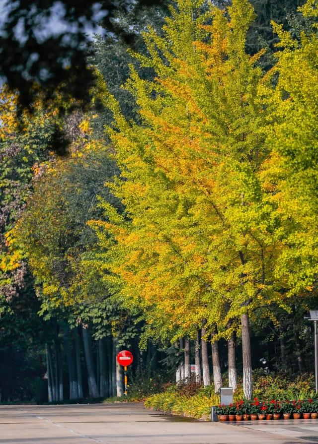 【多图预警！】这里不是5A景区，是鲁南制药！