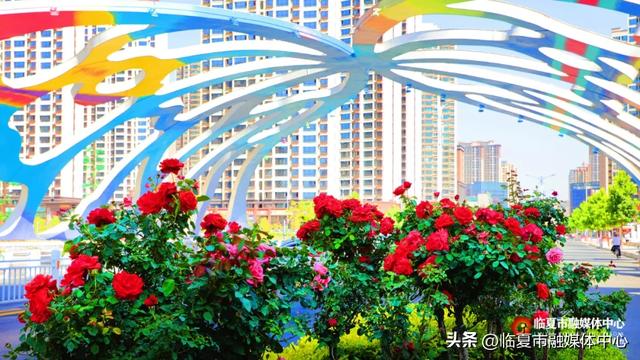 花都临夏市:晴有暖阳 云有絮语 风雨皆成风景