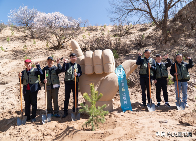 蚂蚁森林2025种树全攻略：“能量小白”到“治沙大佬”的终极指南