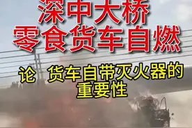 深中通道大桥主缆被起火小货车燃烧！主缆在100年寿命中无法更换图片