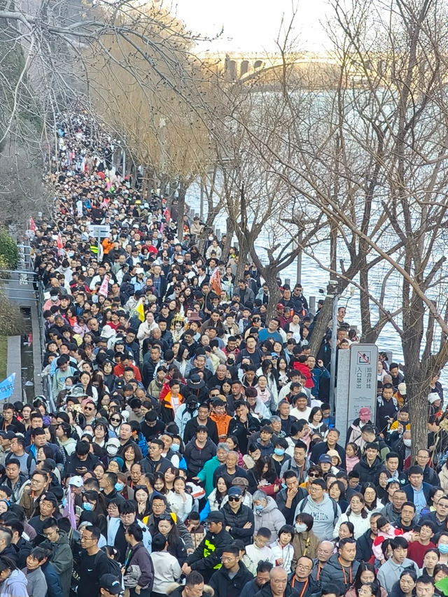 2026马年春节假期，全国最堵十大景区出炉：一眼望不到边的人头！
