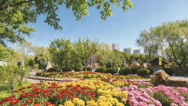 一园一景一花事花漾 银川这份赏花月历让你从春“美”到秋