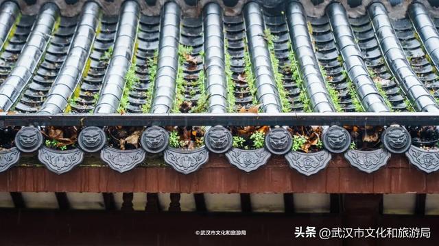 出门！今天来武汉，就是下江南