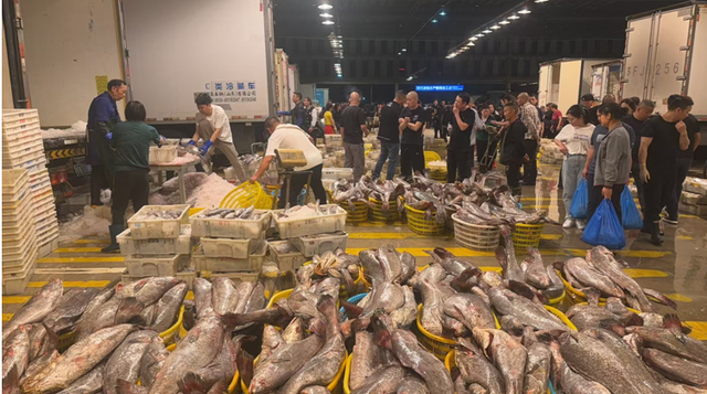 花胶30头大概多少钱一斤 30头的花胶1斤多少钱