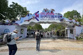 千花万朵压枝低，武汉2025世界花园大会今日开幕！图片