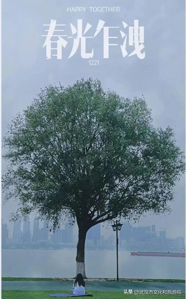 武昌花海又上新，美得很治愈！