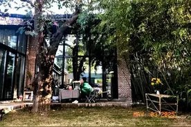 45岁殷桃在北京的豪宅火了：家中种满花草，这简直就是人间仙境图片