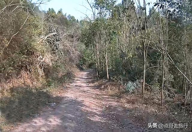 成都龙泉山爆红徒步路线，享受超级梭梭板，大人小孩都喜欢！