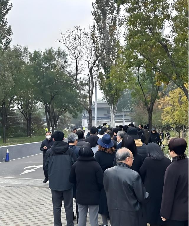 21年相伴，她陪他走完最后一程，谁懂这份沉默的爱？