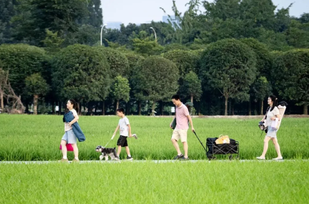 三元地铁口又火了！路人全在拍→