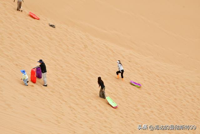 海边游记｜沙海狂飙与绿洲寻踪：内蒙古腾格里沙漠一日“历险记”