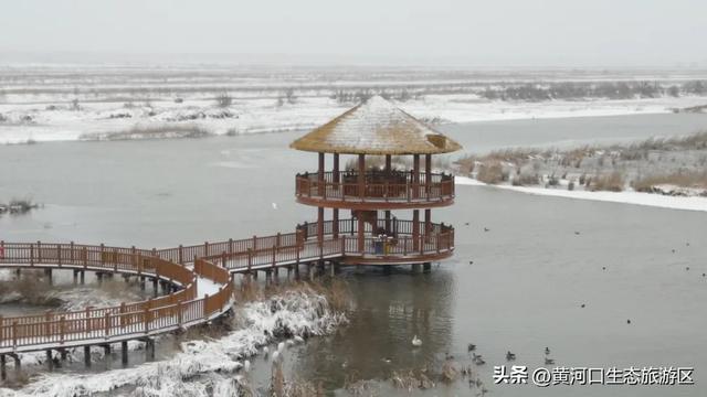 【马力全开贺新春】黄河口2026新春预告|潮玩湿地,解锁马年N种打开方式