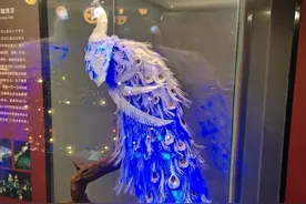 内江、自贡三天两夜游之自贡市内游图片