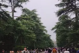 游南京大屠杀纪念馆与中山陵图片