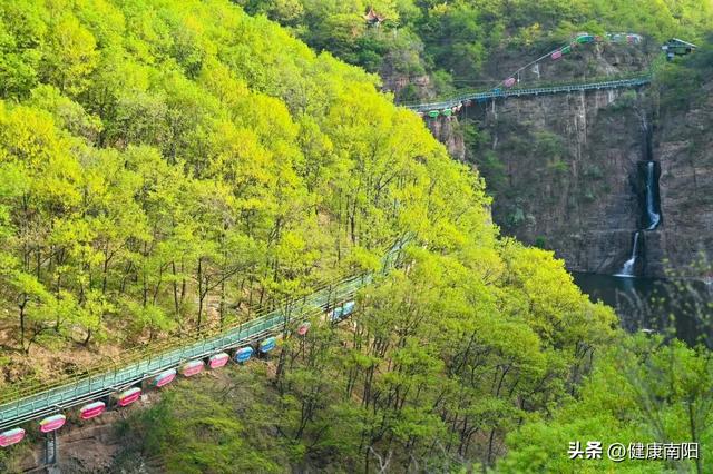 免免免！河南这些景区推出限时特惠活动→
