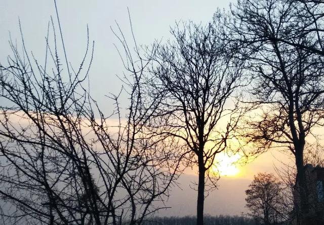 西安向西100公里，关中西部一处穷乡僻壤，是我魂牵梦绕的故乡