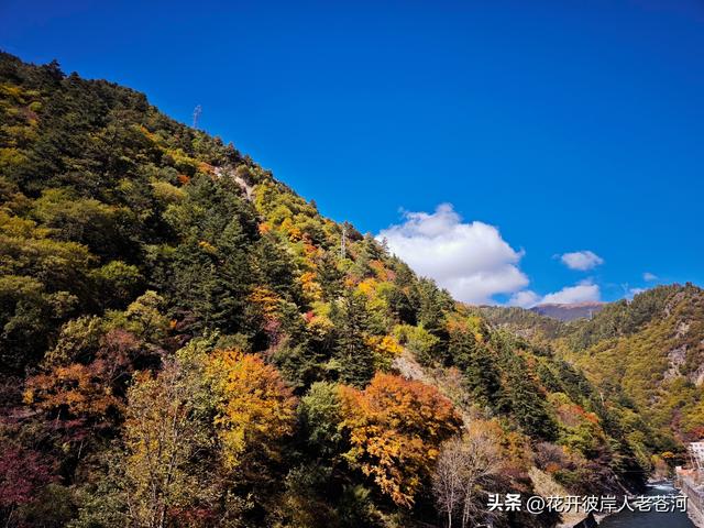 米亚罗彩林季，观赏一日游！