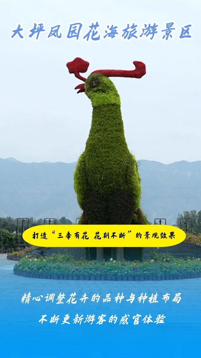 【白银文旅】在白银邂逅黄河之美！荷塘寻幽、花海打卡、露营观星，这份文旅攻略请收好