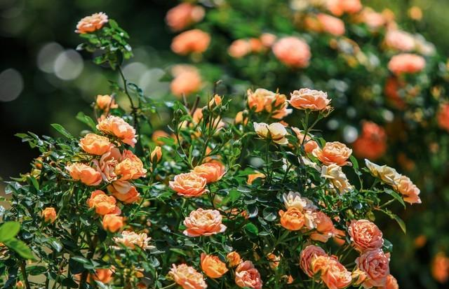 两性关系；不管你信不信，女人过54岁，都有如下7个症状，要接受