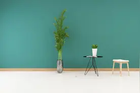 燕子家中筑巢，福兮祸兮？老人告诫：见巢必行动！图片