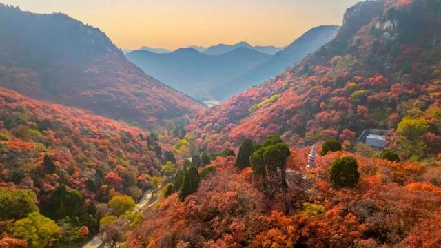 抱犊崮入选山东金秋醉美红叶观赏地