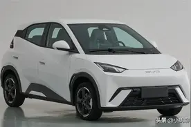 新款海鸥大升级，天神之眼+二代刀片电池，预计月销要突破十万辆图片