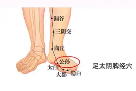 脚上有个统领五脏的“帝王穴”！早晚敲30下，活全身气血，从头通到脚图片