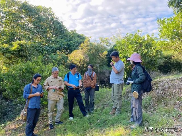 山海交响 福聚宁德｜霞浦黄瓜山遗址成功入选省级考古遗址公园，千年海洋文明邀你“打卡”