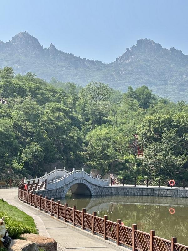 一座藏在青岛主城区内的森林氧吧