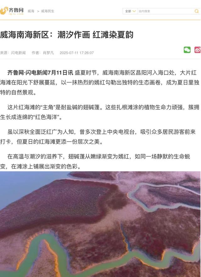 央视四平台连播！ 红滩盛夏铺锦绣 生态南海引客来
