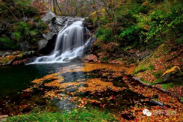 赏秋正当时！自驾来汉中，赴一场秋日视觉盛宴~
