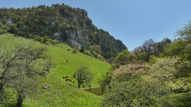 在两当，春天就要Color Walk→