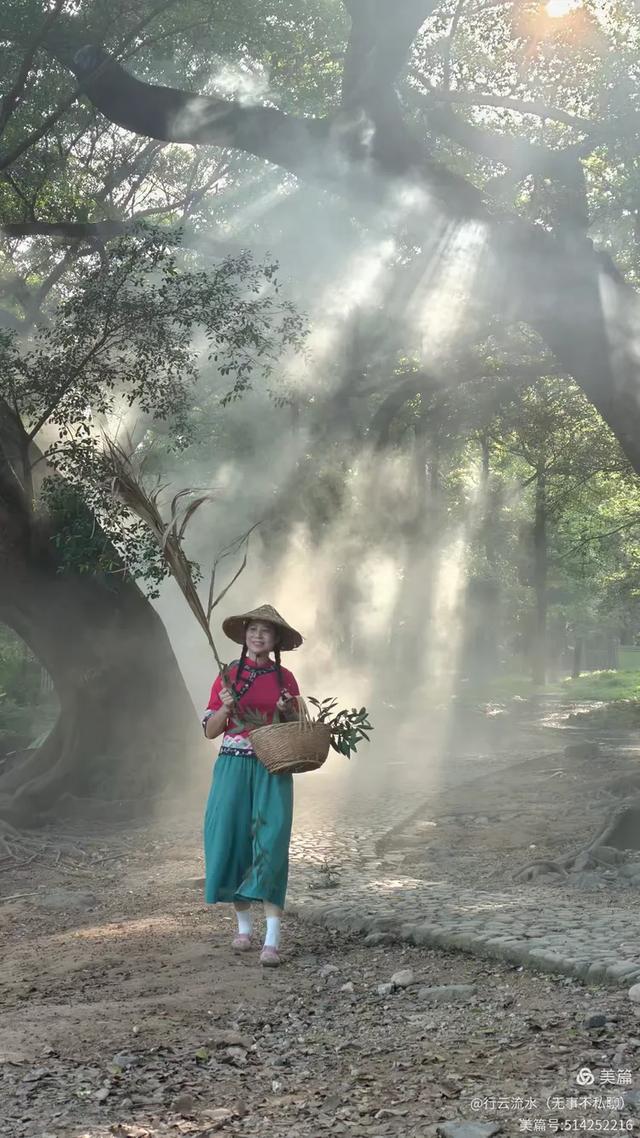彩色旅图|光影里的霞浦:滩涂、古树与渔排的诗意时光