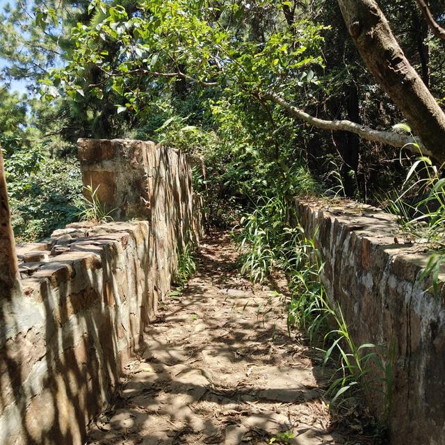 暑期登山？这座山岭连名字都生僻，竹林清风治愈心灵！