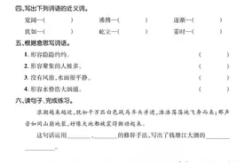 四年级上册语文——基础小练图片