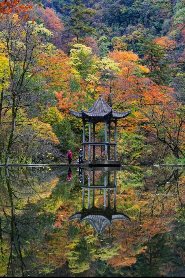 赏秋正当时！自驾来汉中，赴一场秋日视觉盛宴~