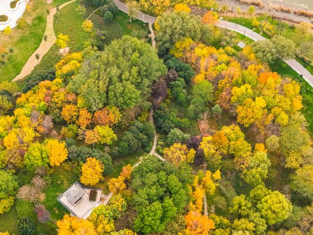 初冬访复圣文化园：与色彩和哲思对话