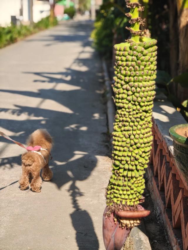 最好的婚姻	，是彼此自知相互成就