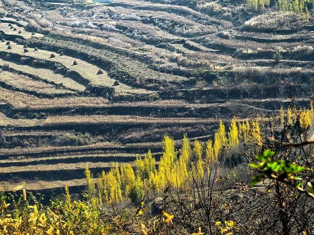 小雪｜冬意初临时，风物成画，岁月如诗