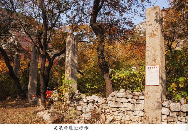 吴秀成：金秋探寻灵泉寺