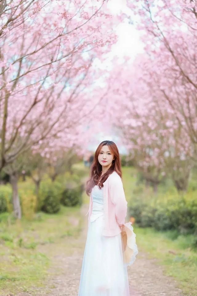 报！常州网红樱花开了！