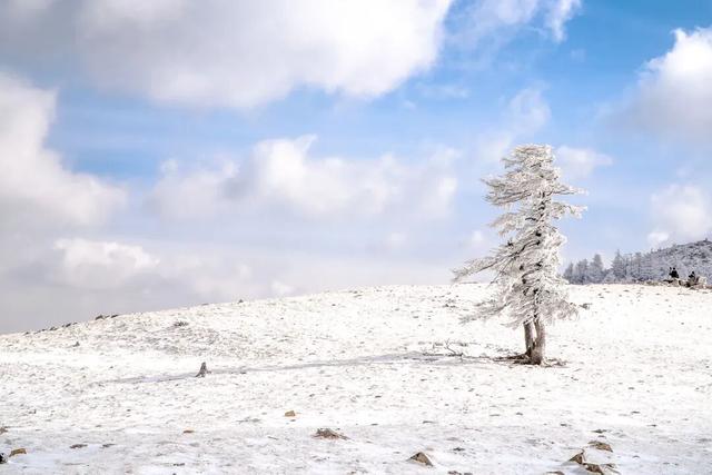 【文明旅游】太原市娄烦县：云顶之上，雪落成诗，来娄烦云顶山，遇见冬日童话