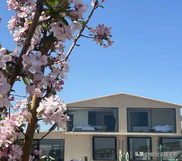 【乐享烟台】烟台“仙境人家”旅游民宿第二批评选结果公布