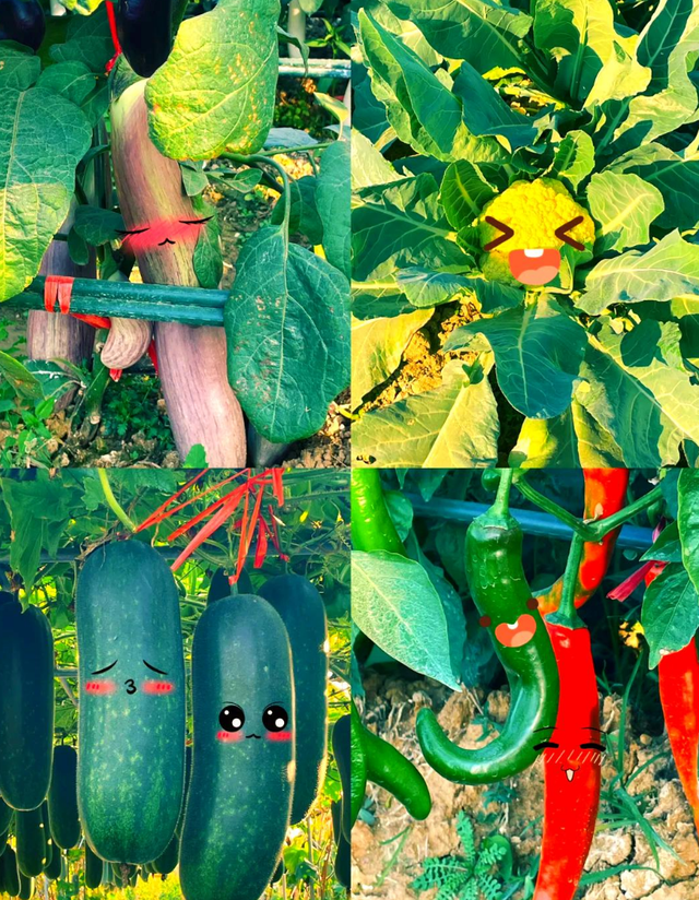 遛娃首选！12月3日佛山农科所开园，这个月都有得睇！