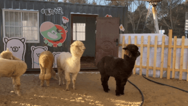 蒙冬之约 | 这个冬天“通”常“辽”解？不🤚是超“in”！