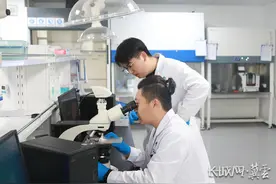 坚定信心 勇挑大梁·产业新亮点｜向“新”突破！叫响“中国好药·石家庄造”品牌图片